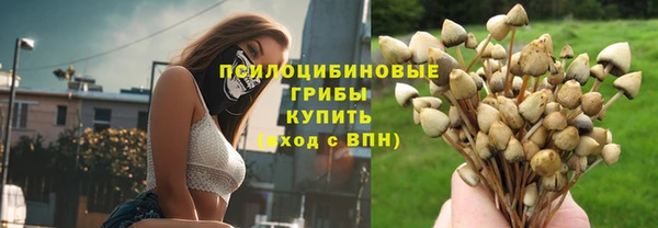 a pvp Касимов