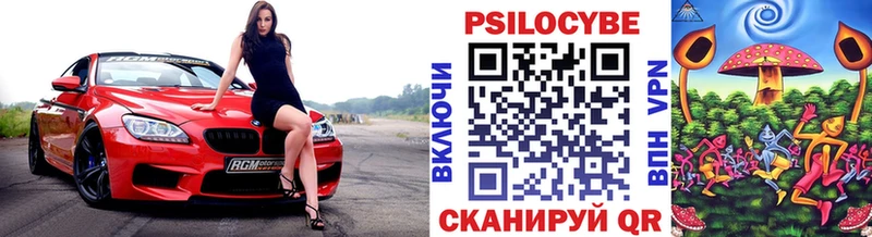 Купить где  Светлоград  Псилоцибиновые грибы Psilocybine cubensis 